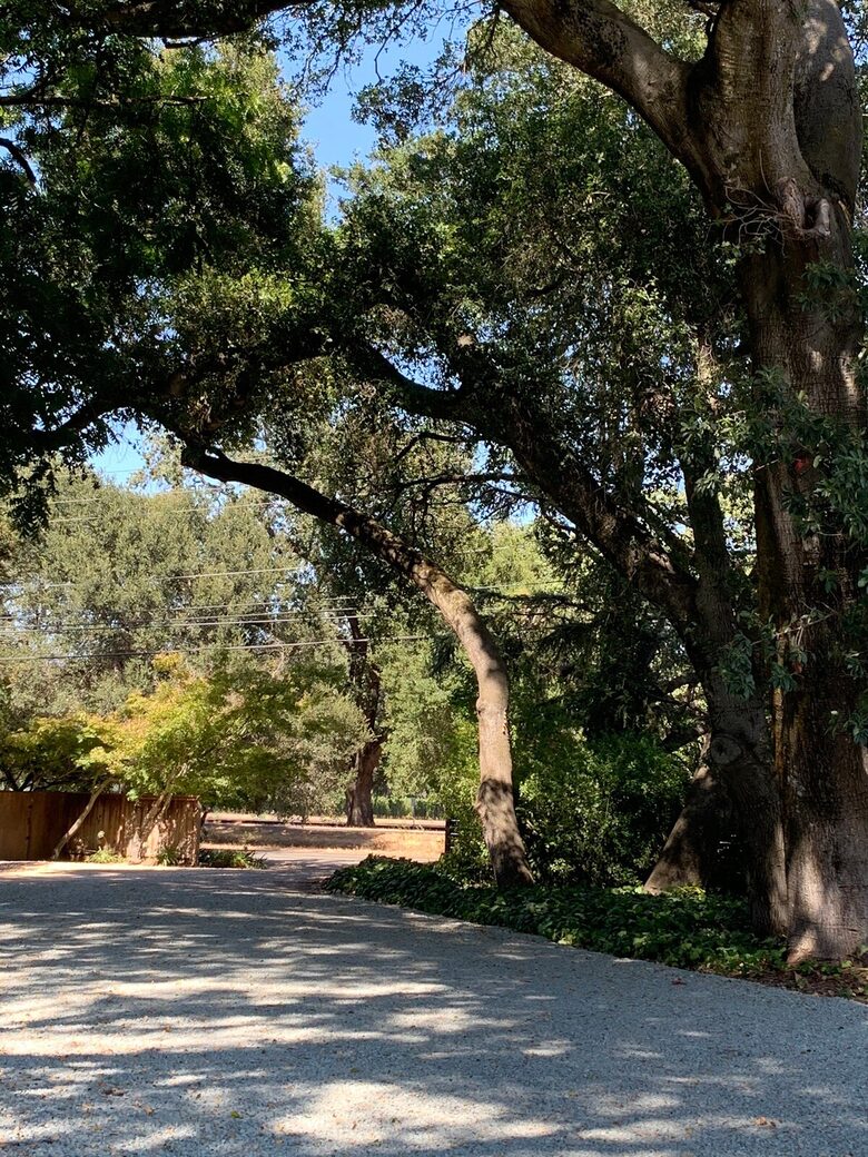Elegant Napa Getaway with Poolside Views and Wine Country Charm - Napa, California