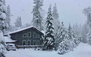 Bass Lake Escape | A Cozy Retreat Near Yosemite - Bass Lake, California