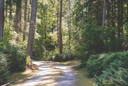 Secluded Nature Haven Just Minutes from Seattle - Vashon, Washington