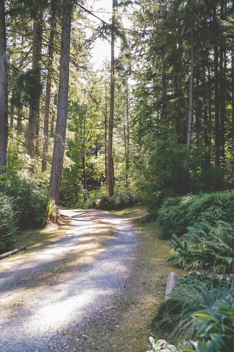Secluded Nature Haven Just Minutes from Seattle - Vashon, Washington