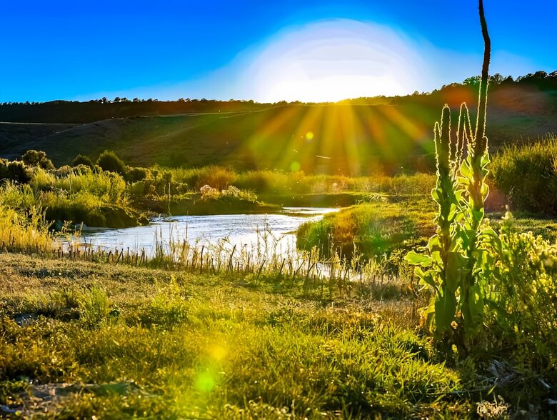 Riverside Retreat in Southern Utah | A perfect base camp for your national park adventures! - Panguitch, Utah