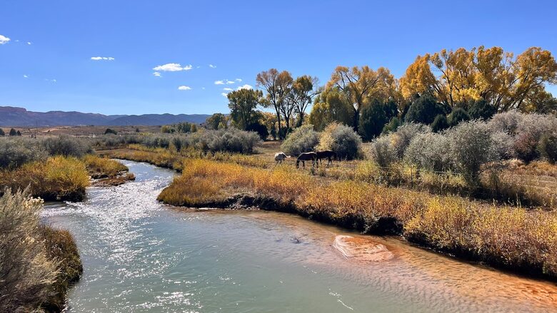 Riverside Retreat in Southern Utah | A perfect base camp for your national park adventures! - Panguitch, Utah