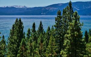 Tahoe City Family Retreat Near Outdoor Recreation - Tahoe City, California