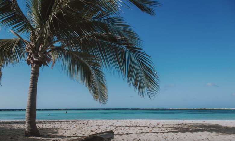 Luxury Living Above the Caribbean | Exclusive Penthouse Experience - Noord, Aruba