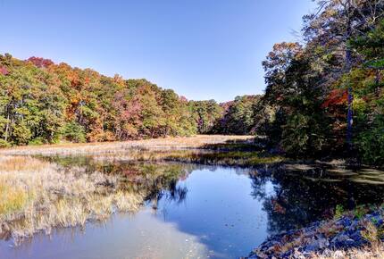 Tidal Creek Retreat: Elegance Meets Serenity - Newport News, Virginia
