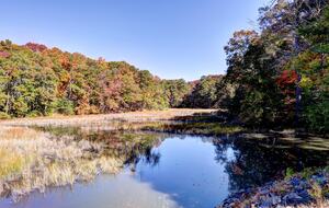 Tidal Creek Retreat: Elegance Meets Serenity - Newport News, Virginia