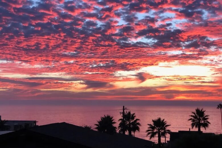 Oceanview Escape in the Heart of San Diego - San Diego, California