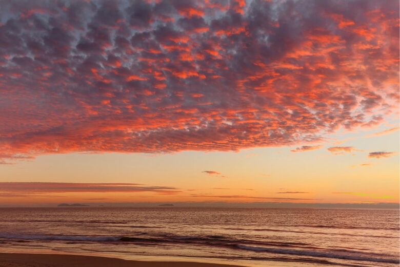 Oceanview Escape in the Heart of San Diego - San Diego, California