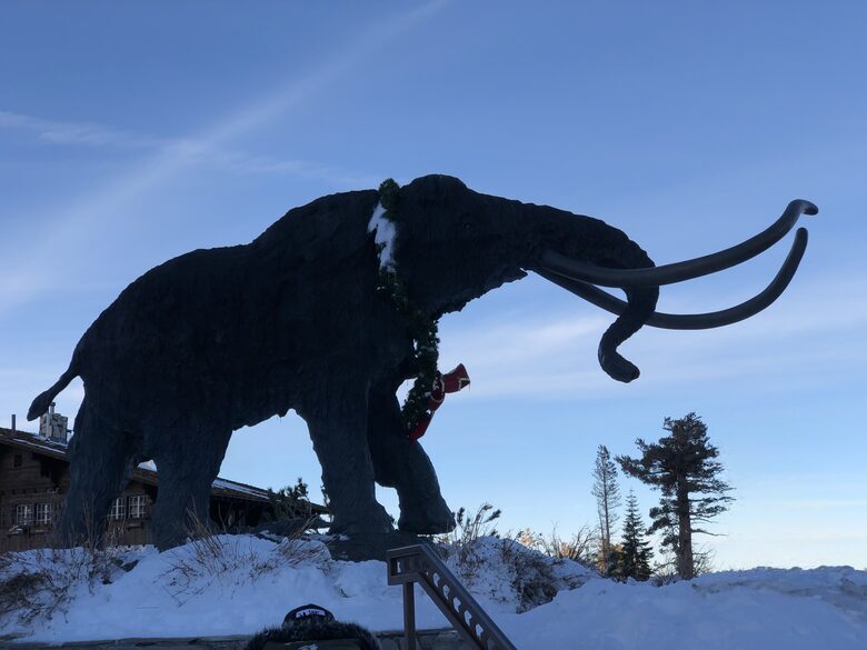 High-End Comfort Steps from the Lifts - Mammoth Lakes, California