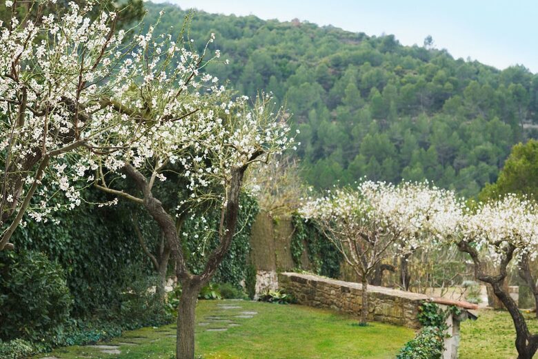 Country House with Pool – Close to Barcelona - Rocafort, Barcelona, Spain