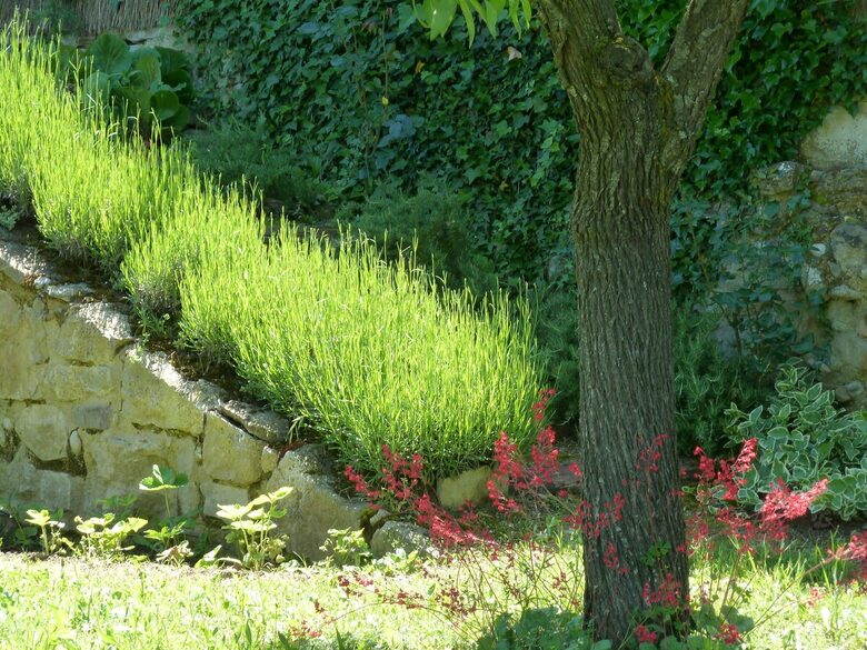 Country House with Pool – Close to Barcelona - Rocafort, Barcelona, Spain
