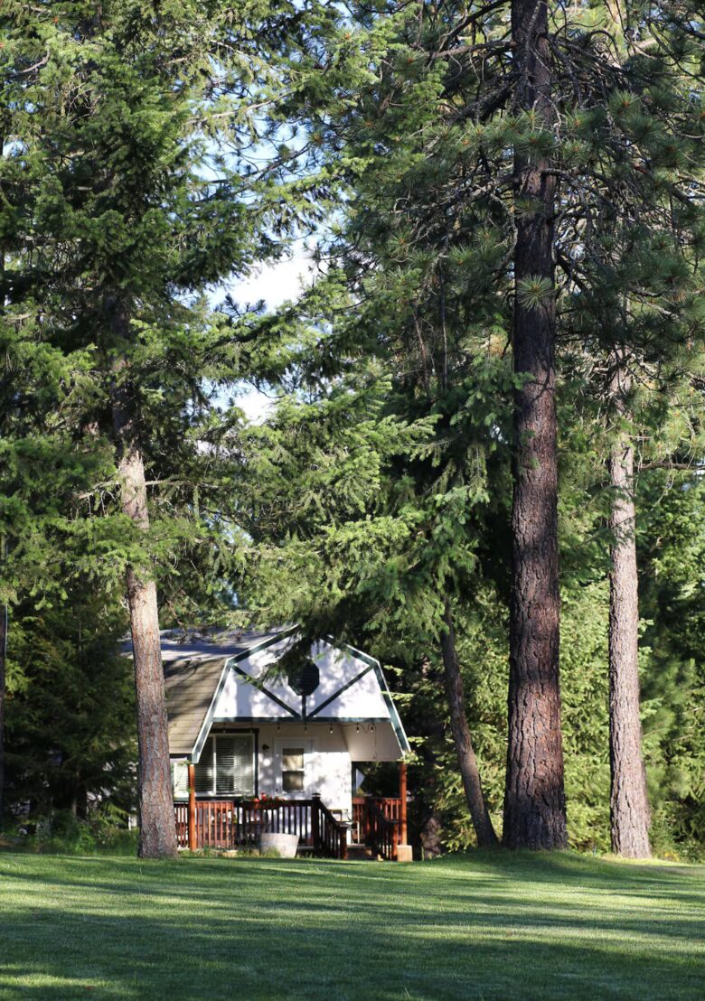 Expansive Estate Amongst Pine Trees | 160 Private Acres - Athol, Idaho