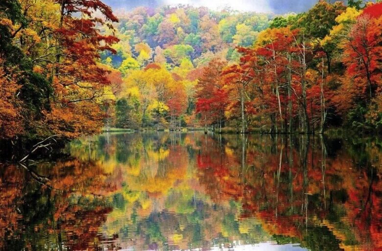 A Spacious and Scenic Getaway on Snowshoe Mountain - Snowshoe, West Virginia