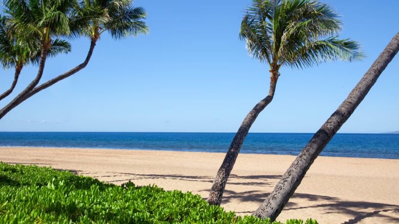 Oceanfront Two Bedroom Villa at Marriott's Maui Ocean Club - Maui, Hawaii