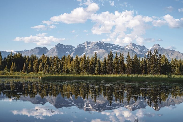 Timeless Elegance in the Rockies - Whitefish, Montana