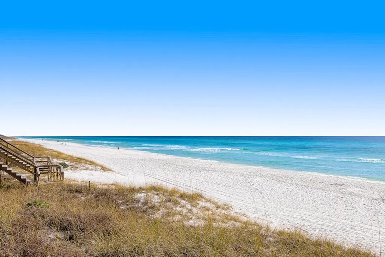 The Shell Seeker - Santa Rosa Beach, Florida