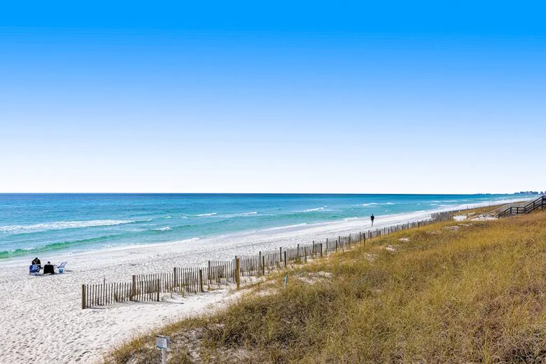 The Shell Seeker - Santa Rosa Beach, Florida