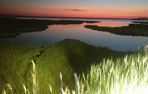 Bear Trap Dunes - Ocean View, Delaware