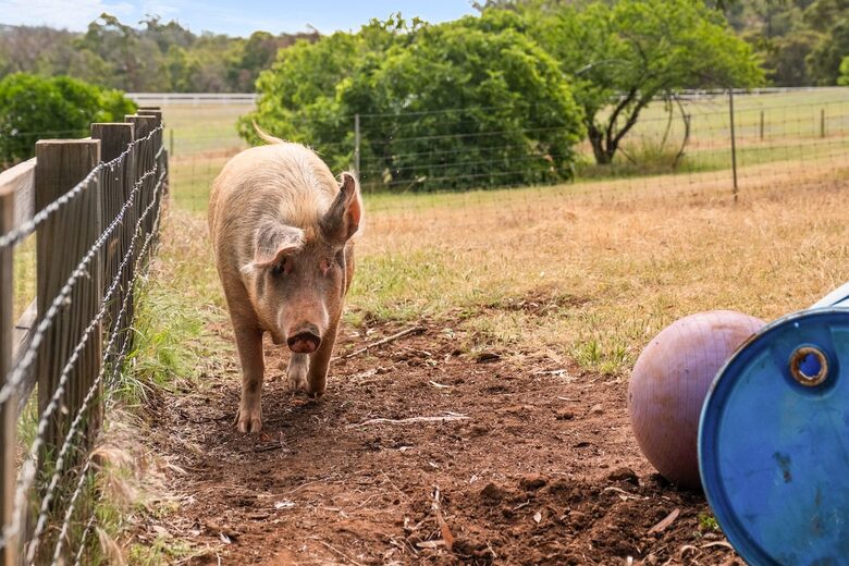 Countryside Escape with Panoramic Views - Darlington, Australia