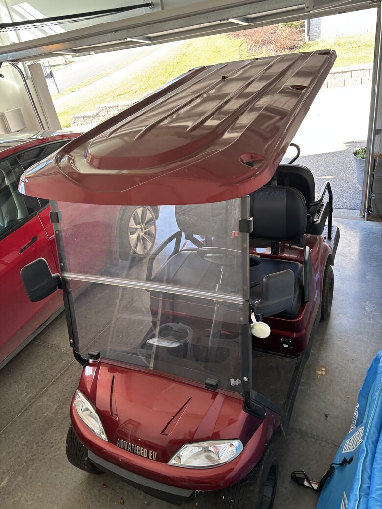 Electric golf cart