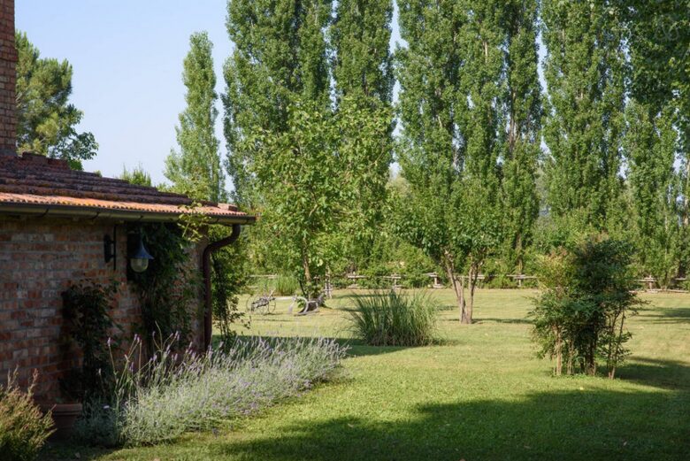 Elegant Countryside Retreat in the Heart of Val di Chiana - Montepulciano Stazione, Italy