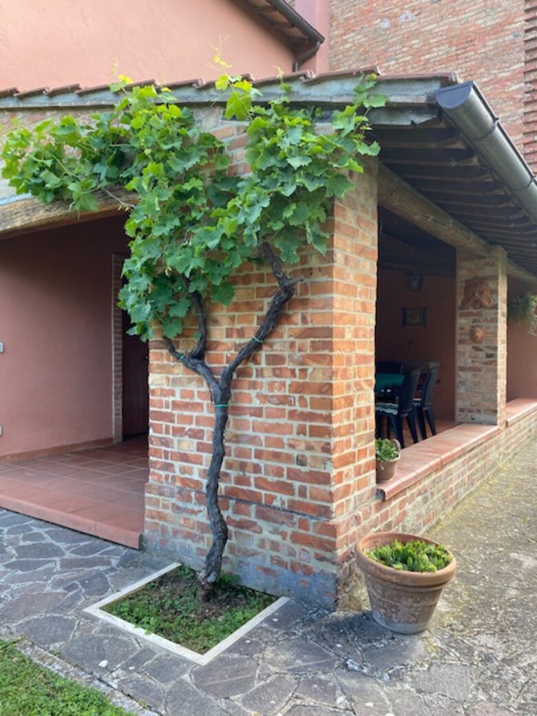 Elegant Countryside Retreat in the Heart of Val di Chiana - Montepulciano Stazione, Italy