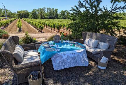 Charming Farmhouse on 30 Acre Vineyard - Healdsburg, California