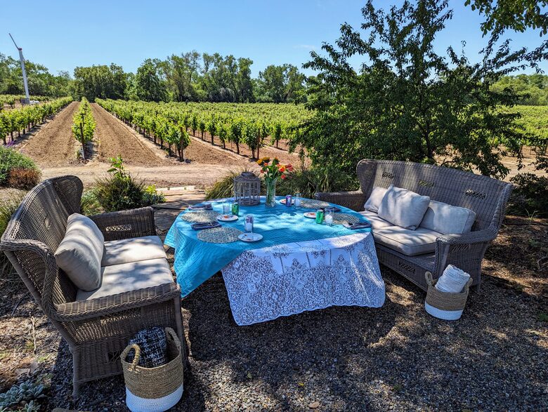 Charming Farmhouse on 30 Acre Vineyard - Healdsburg, California