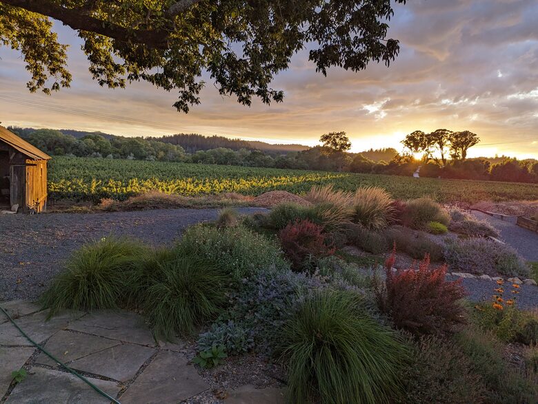 Charming Farmhouse on 30 Acre Vineyard - Healdsburg, California