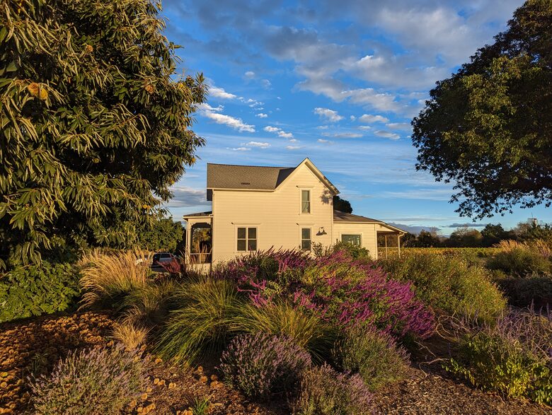 Charming Farmhouse on 30 Acre Vineyard - Healdsburg, California