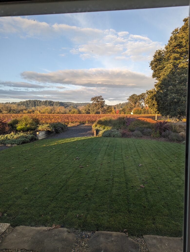 Charming Farmhouse on 30 Acre Vineyard - Healdsburg, California