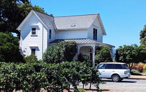 Charming Farmhouse on 30 Acre Vineyard - Healdsburg, California