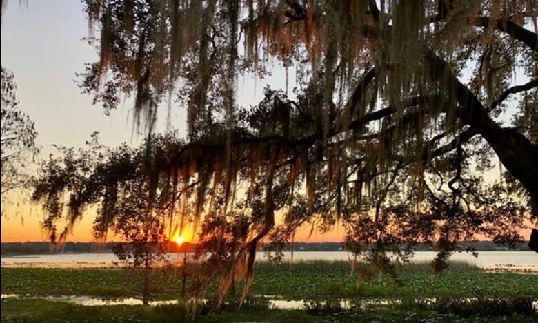 Historic Charm in the Heart of Lakeland - Lakeland, Florida