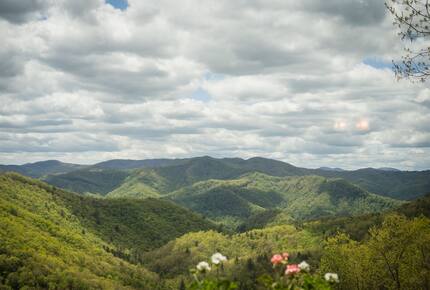 Cozy Blue Ridge Escape with Stunning Scenic Vistas - Tuckasegee, North Carolina