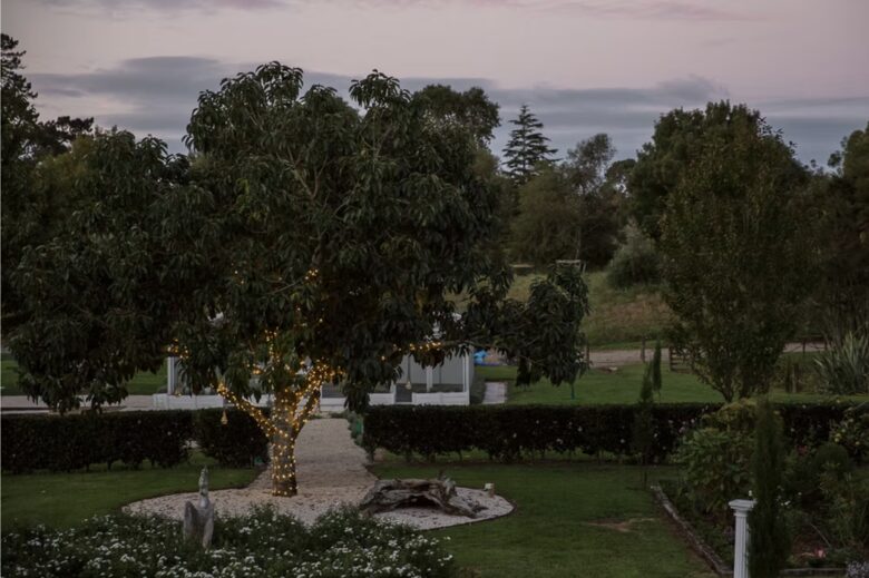 Luxury Meets Nature in this Tranquil Country Haven - Aongatete, New Zealand