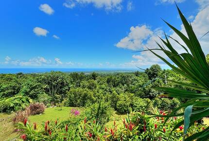 Exclusive Creole Estate with Breathtaking Vistas - Sainte-Rose, Guadeloupe