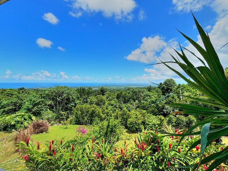 Exclusive Creole Estate with Breathtaking Vistas - Sainte-Rose, Guadeloupe