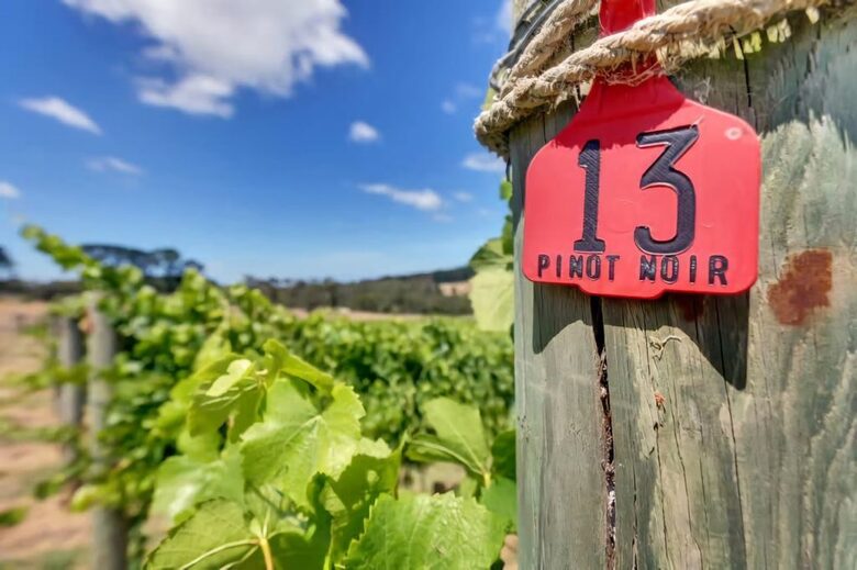 Nafplio | A Sophisticated Vineyard Escape in Red Hill South - Red Hill South, Australia