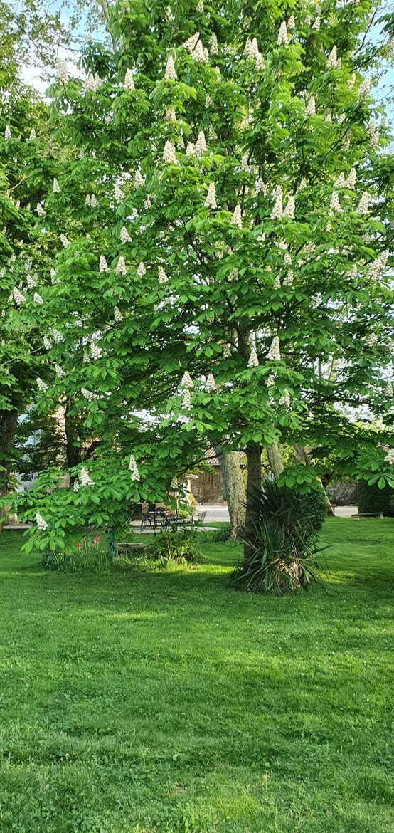 Exquisite Countryside Haven with Modern Amenities - Saint-Élix-le-Château, France