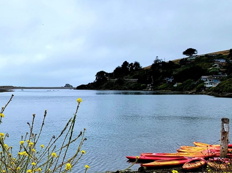 A Coastal Escape with Sweeping Ocean Views - Bodega Bay, California