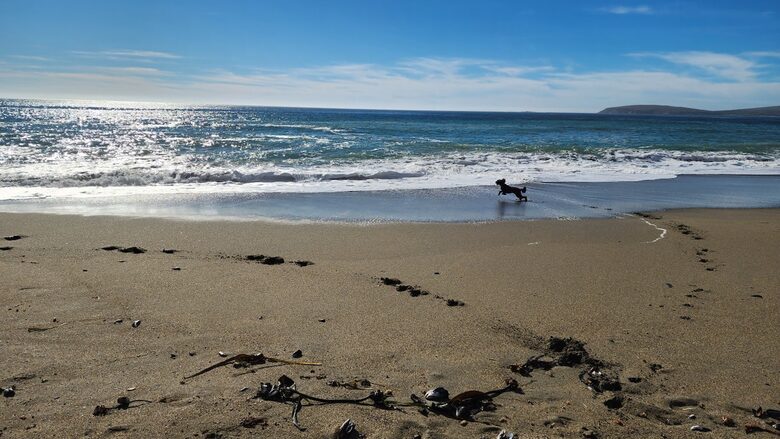 A Coastal Escape with Sweeping Ocean Views - Bodega Bay, California