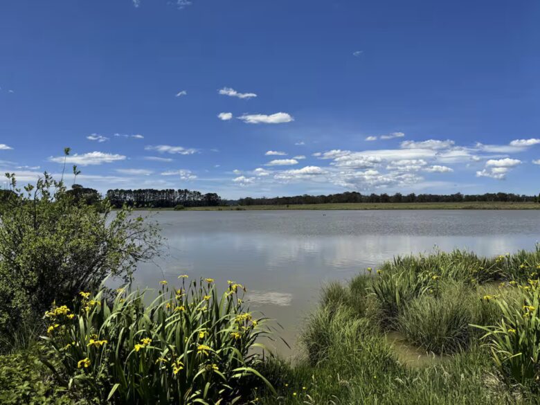 Open Country Homestead. Architectural Elegance Meets Countryside Serenity in Burradoo - Burradoo, Australia