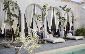 Casa Olivia | Timeless Beauty in the Heart of Mérida’s Barrio Santiago - Mérida, Mexico