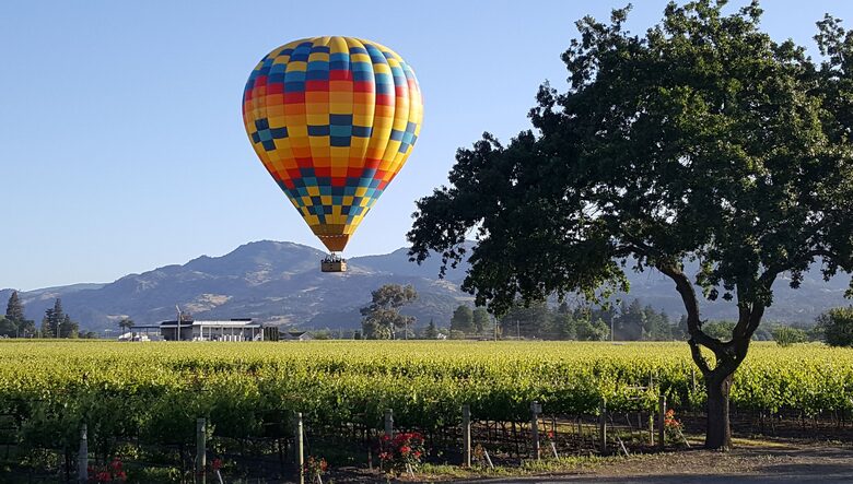 Napa Valley Escape in the Vineyards - Napa, California