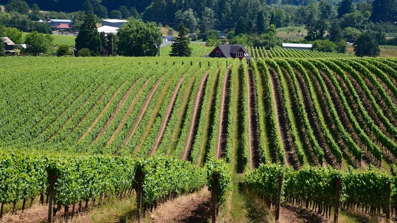 Wine Country Escape in the Heart of Carlton - Carlton, Oregon
