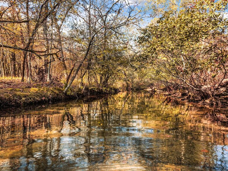 Tranquility Among the Trees in Hochatown - Broken Bow, Oklahoma