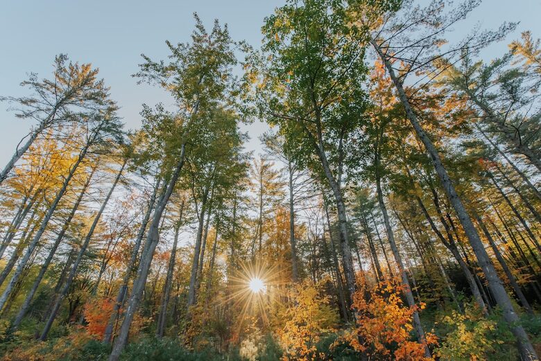 A-Frame Comfort and Design in the Heart of Maine’s Mountains - Bethel, Maine