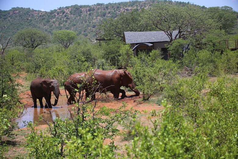 Lubbesrust Boutique Lodge - Tuli Block, Botswana