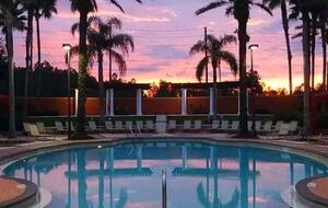 Upscale Davenport Oasis | Minutes from Disney - Davenport, Florida