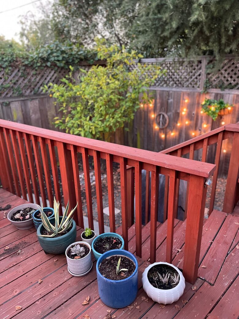 Elegant Family Home Near Berkeley & San Francisco - El Cerrito, California